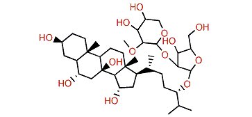 Oreasteroside C